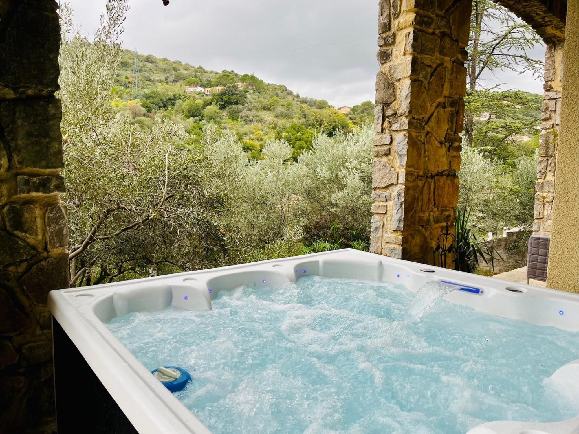 Le Domaine Des Oliviers Piscine Jacuzzi Sauna Apartment