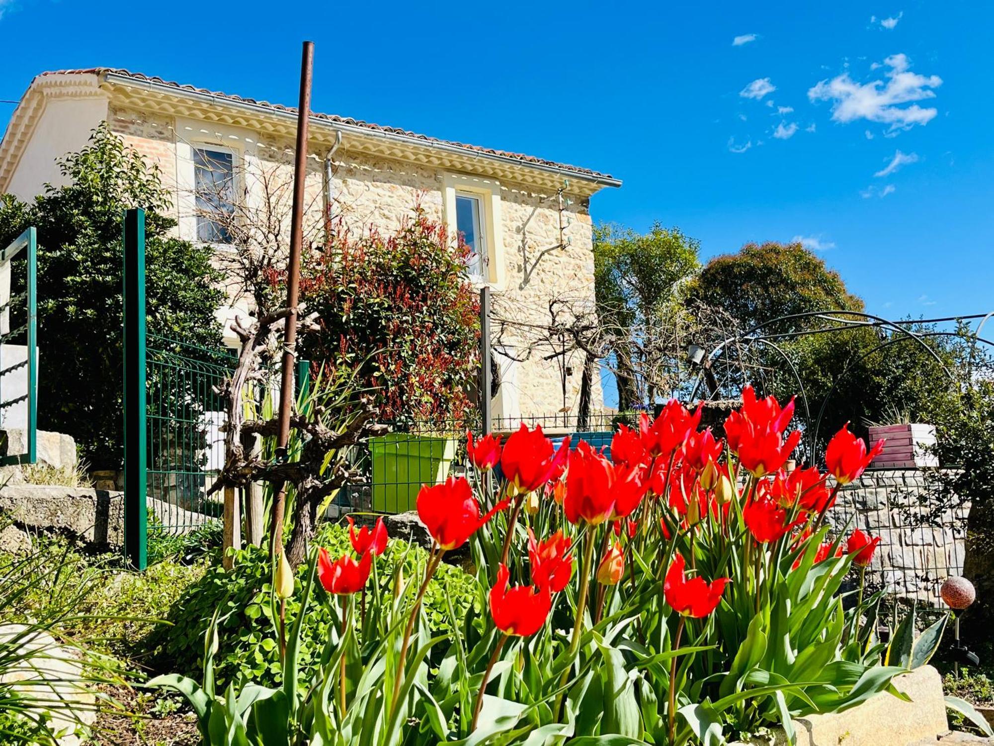 Le Domaine Des Oliviers Piscine Jacuzzi Sauna Apartment Ales