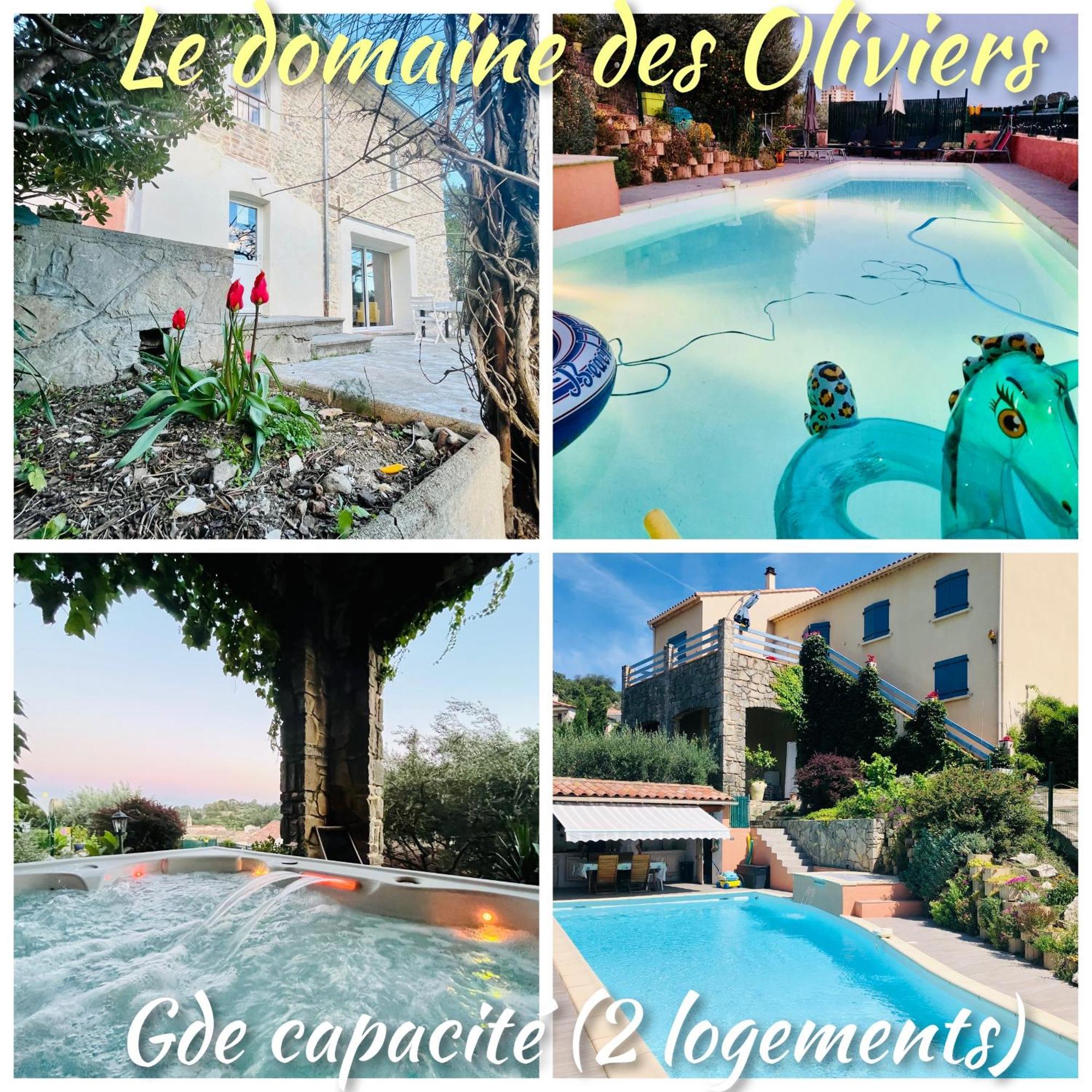 Le Domaine Des Oliviers Piscine Jacuzzi Sauna *
