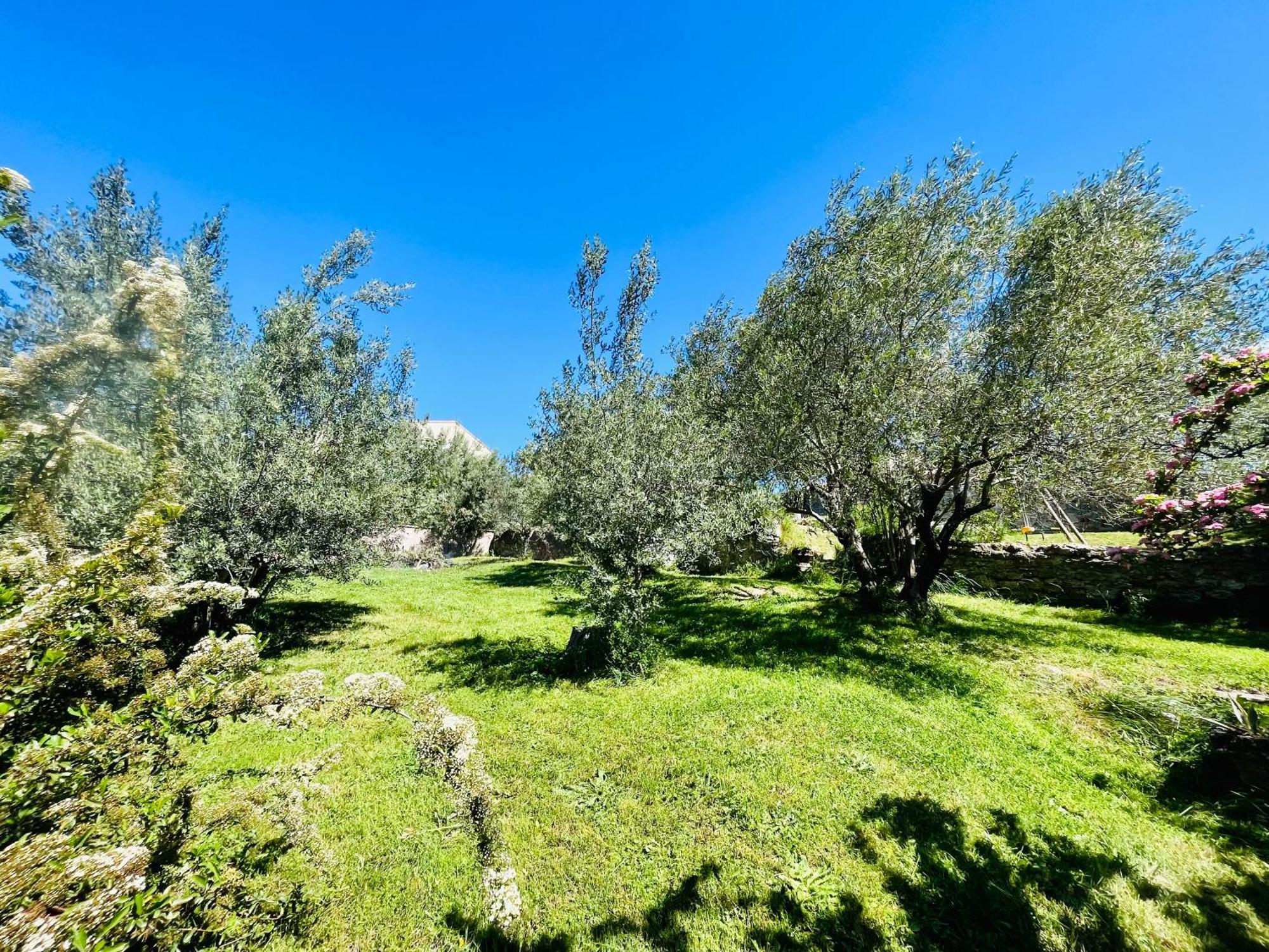 Le Domaine Des Oliviers Piscine Jacuzzi Sauna Apartment