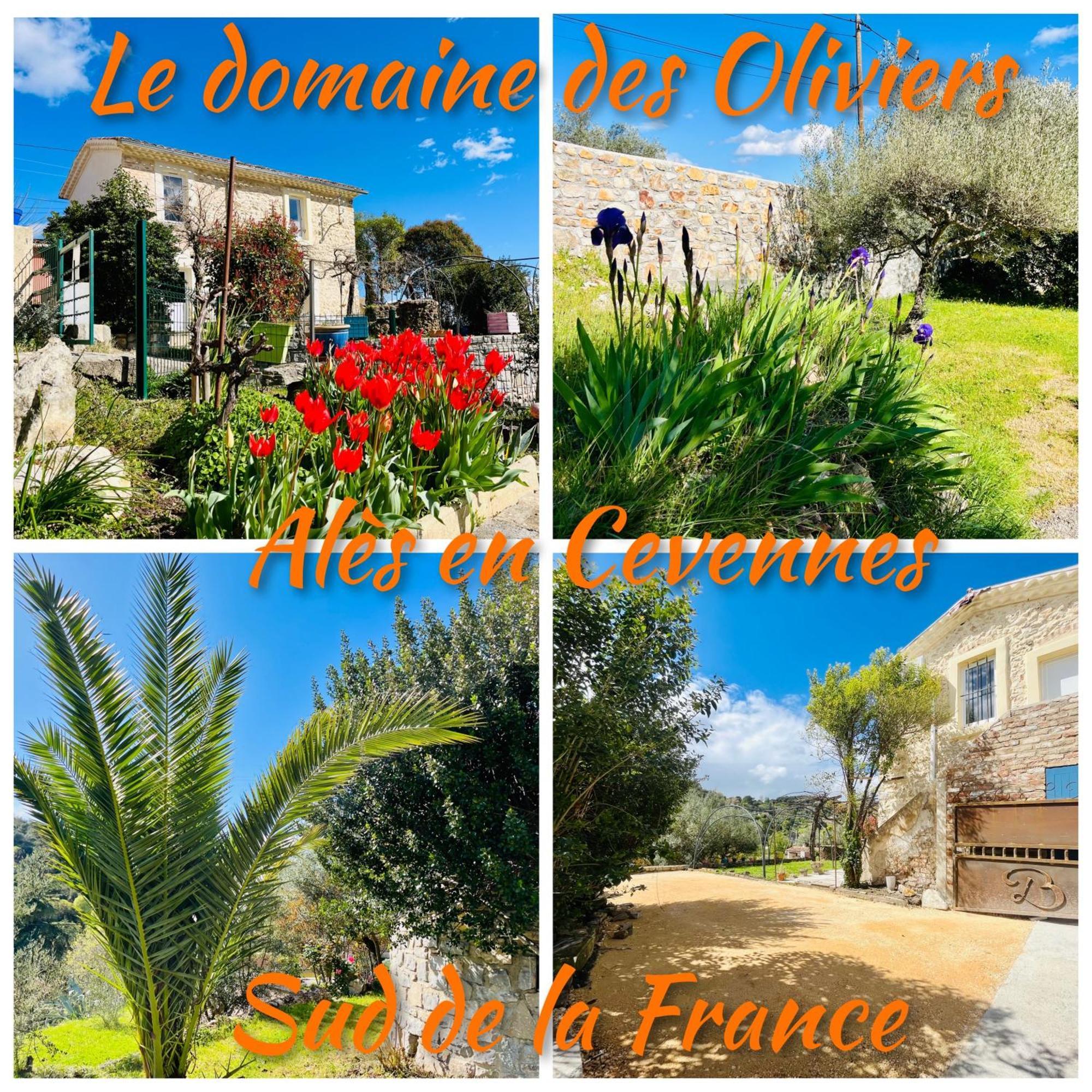 Le Domaine Des Oliviers Piscine Jacuzzi Sauna Apartment *