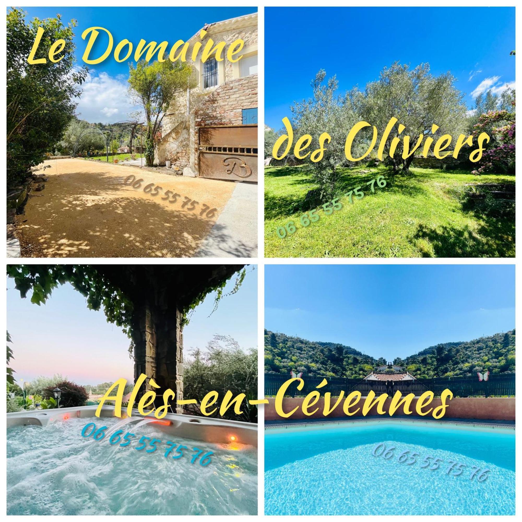 Le Domaine Des Oliviers Piscine Jacuzzi Sauna * Ales